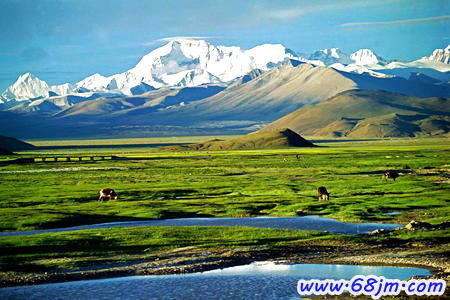 梦见去西藏高原是什么意思