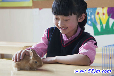 梦见教室里有兔子
