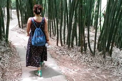 梦见在竹林中漫步是什么意思