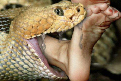 孕妇梦见蛇吃人是什么意思