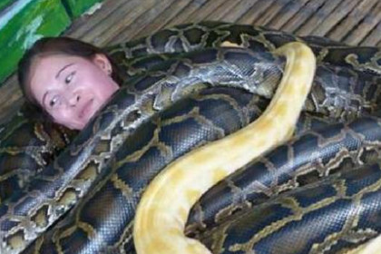 孕妇梦见蛇在身上是什么意思