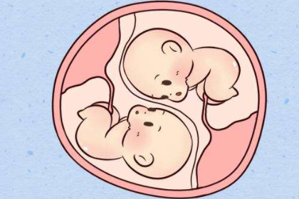 未婚梦见怀孕是双胞胎是什么意思