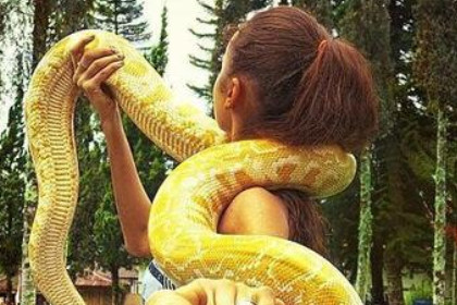 女人梦见蛇缠右胳肘是什么意思