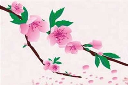 梦见种桃花树是什么意思