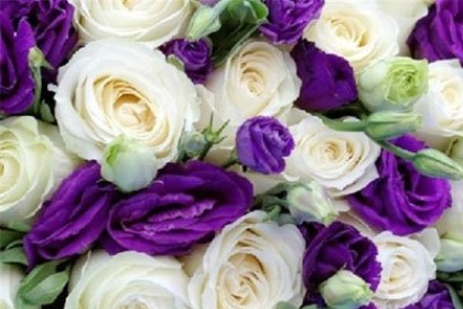 梦见白色和紫色的花是什么意思