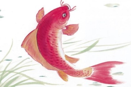 孕妇梦见红鲤鱼