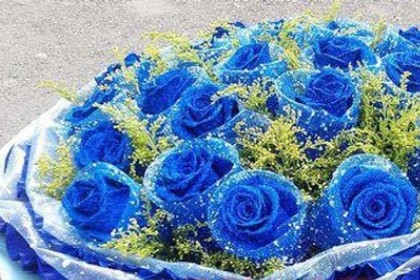 梦见蓝色玫瑰