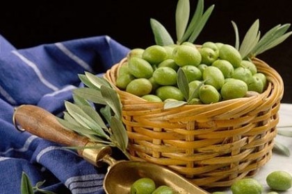 梦见摘橄榄吃是什么意思