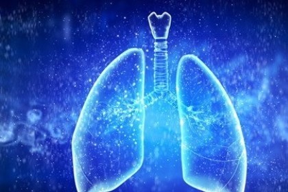 梦见肺肝是什么意思