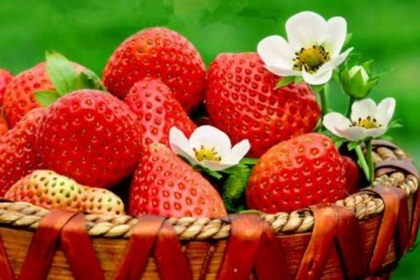 梦见红草莓是什么意思