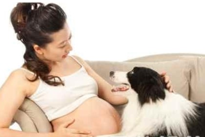 孕妇梦见狗叫是什么意思
