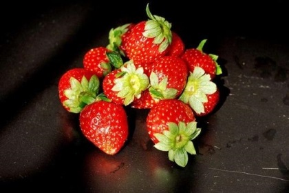 梦见草莓烂了
