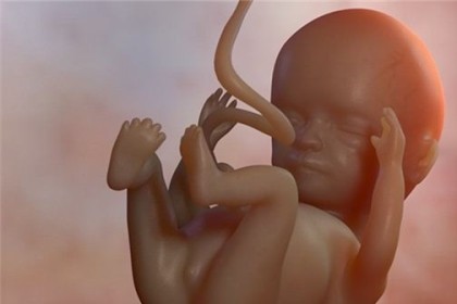 孕妇梦见腹中的胎儿死掉是什么意思