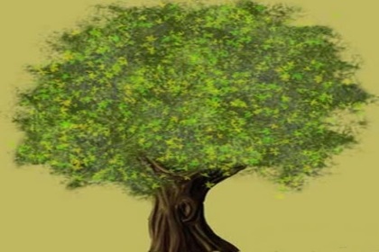 梦见大树树根是什么意思