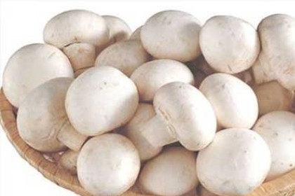 梦见白色蘑菇是什么意思